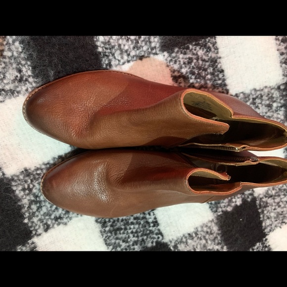 Gianni Bini - Picture 1 of 3